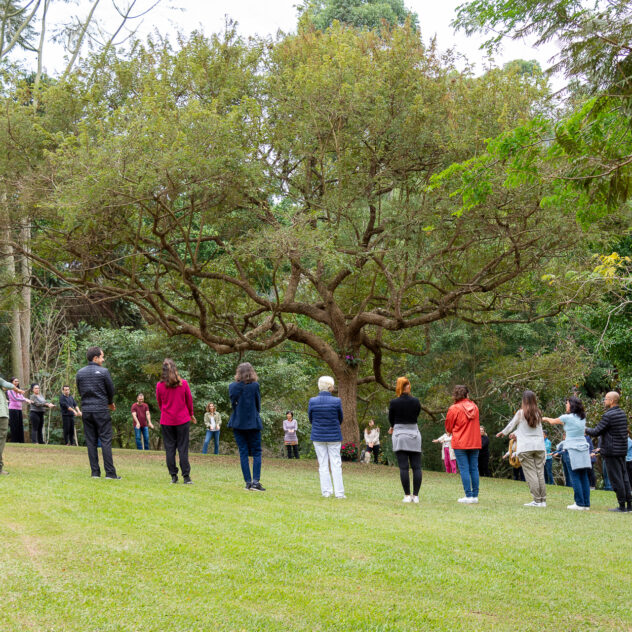 20230528-MSD_8173-WS-IM-BIOENERGIA-ARVORE